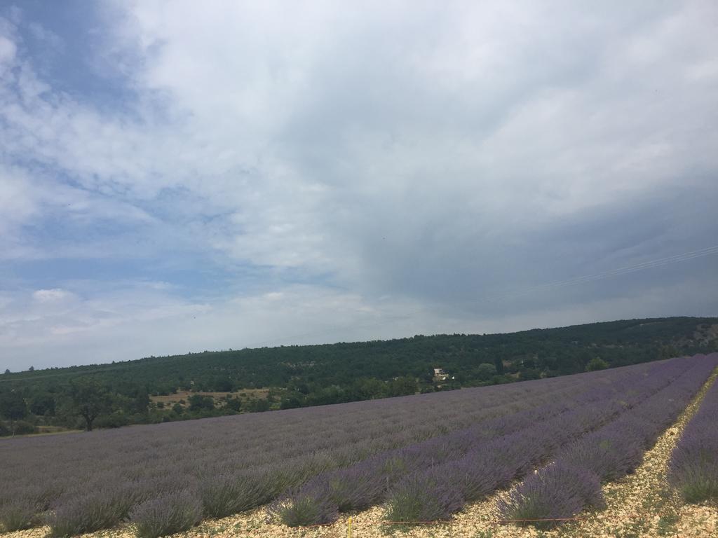 Le Signoret Sault-de-Vaucluse Buitenkant foto