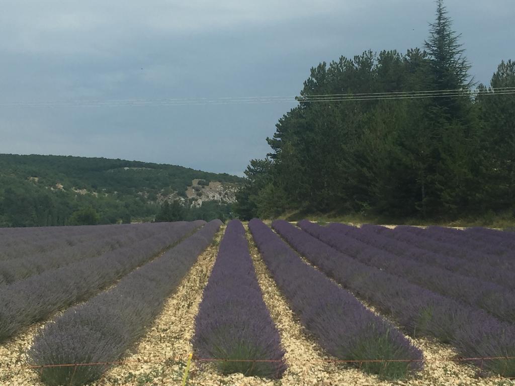 Le Signoret Sault-de-Vaucluse Buitenkant foto